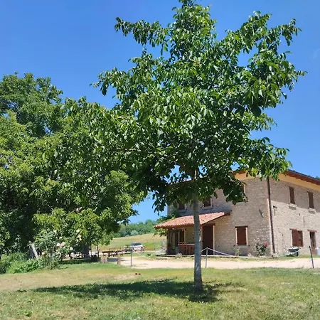 Borgo Doccia 905